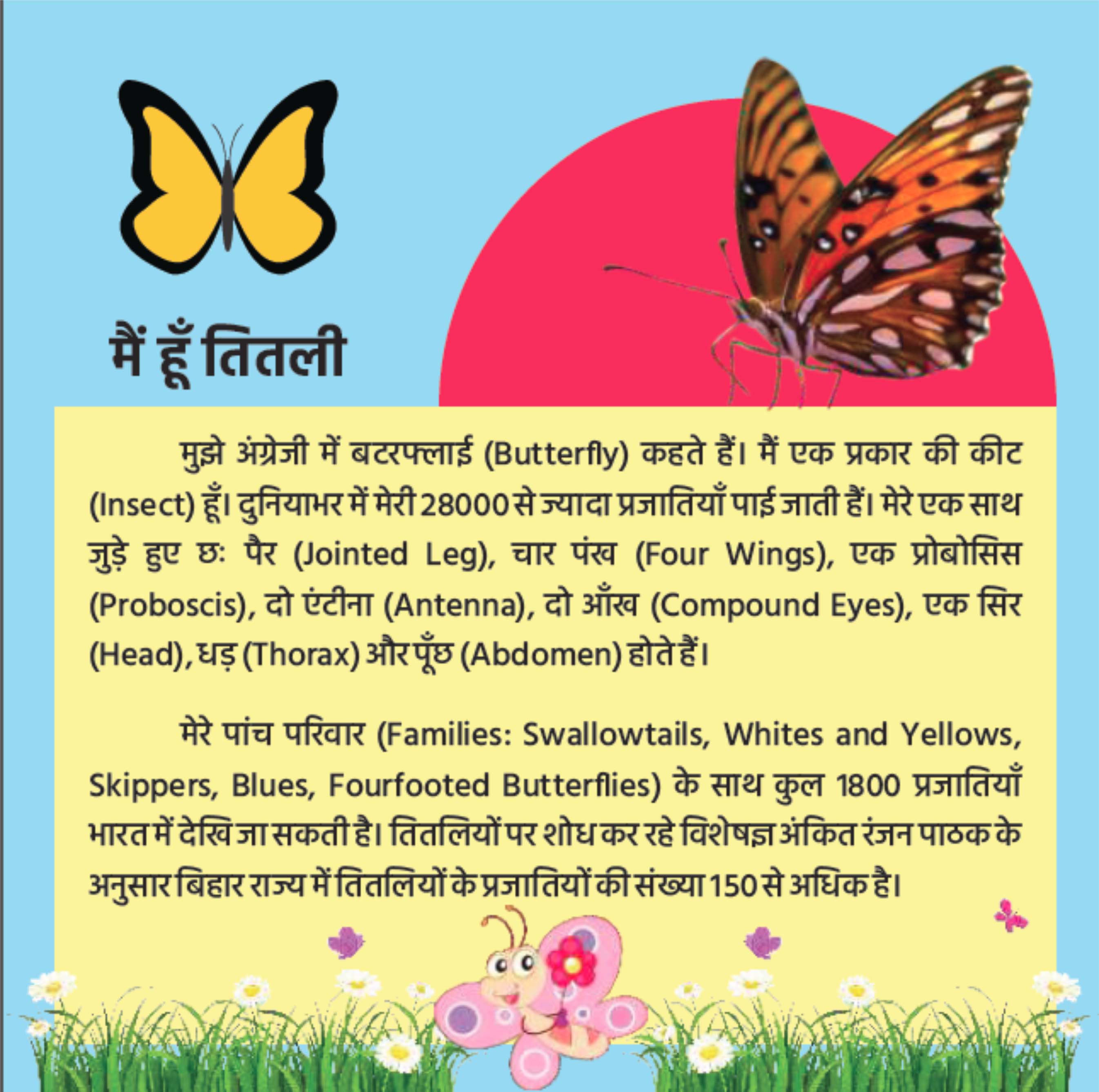 बटरफ्लाई पार्क ब्रोशर